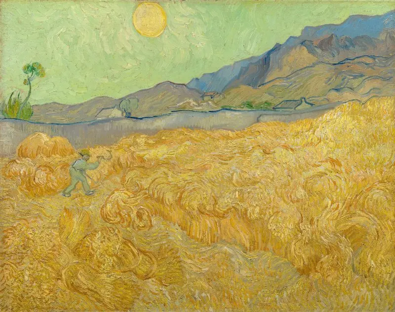 TEORIA E NGJYRAVE Van Gogh dhe Kuptimi i së Verdhës